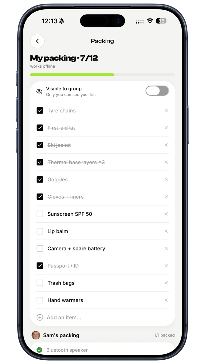 EconoGlance shared and personal trip packing lists