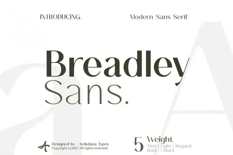 100 Cool Fonts To Use in 2024 | Best Fonts For Web & App