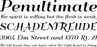 100 Cool Fonts To Use in 2024 | Best Fonts For Web & App