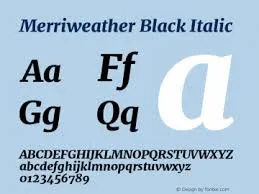100 Cool Fonts To Use in 2024 | Best Fonts For Web & App