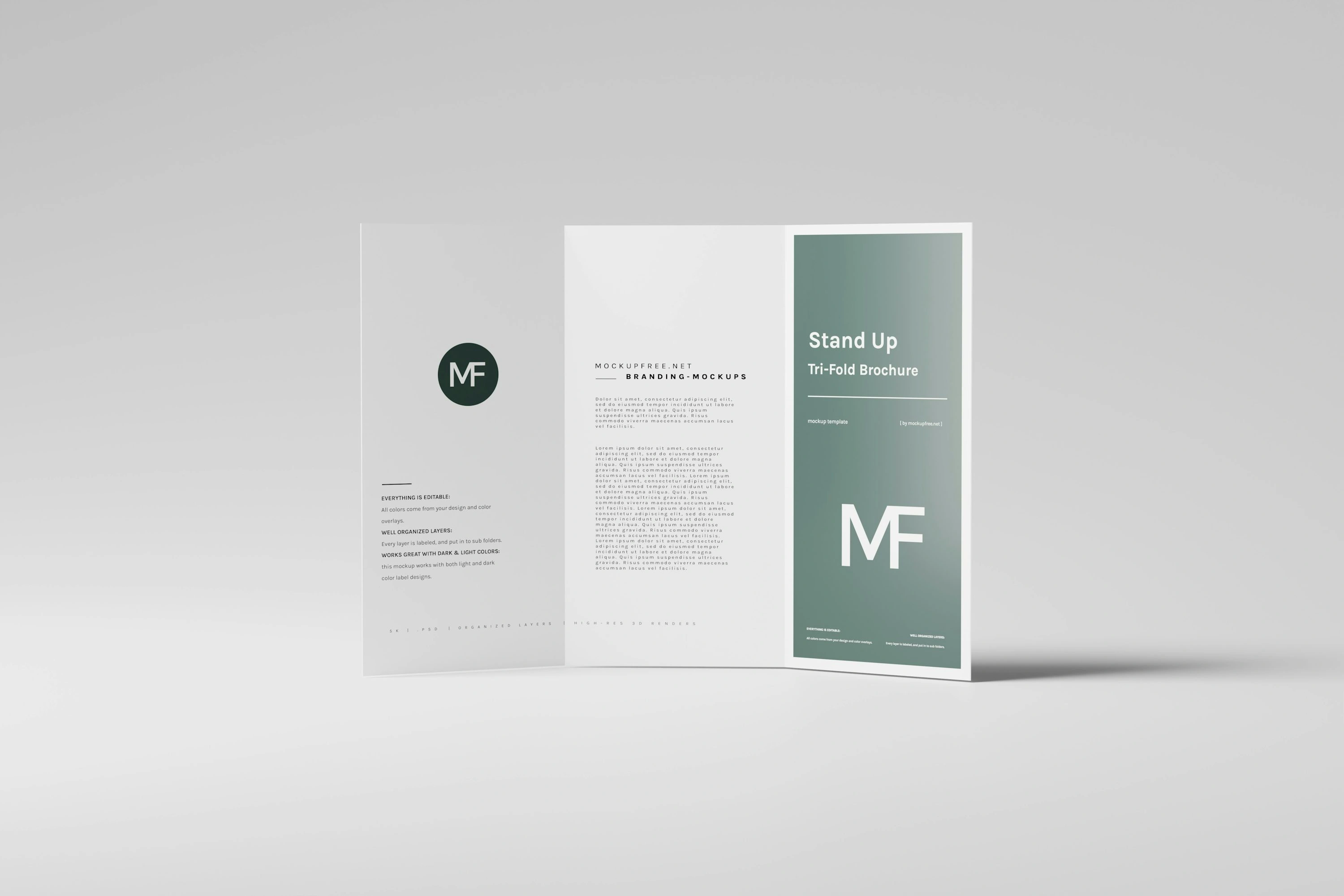 How Much Does It Cost to Design a Brochure? [Full Pricing]