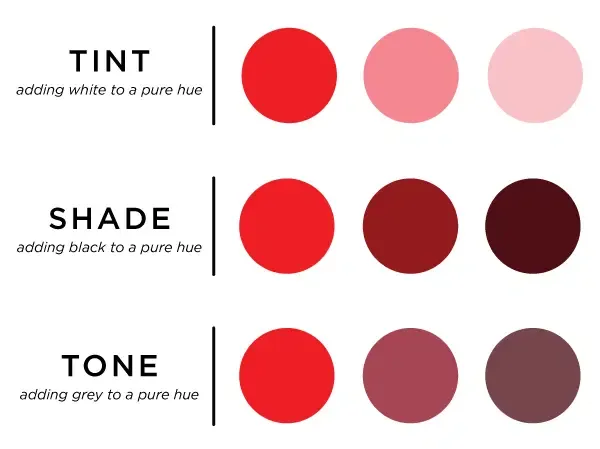 Guide to Analogous Color Schemes | Analyzing Color Wheel