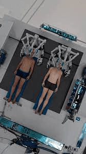 The Era of BrainBridge AI: A New Frontier in Head Transplantation