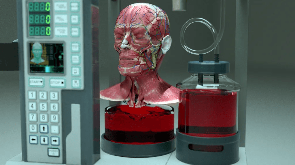 The Era of BrainBridge AI: A New Frontier in Head Transplantation
