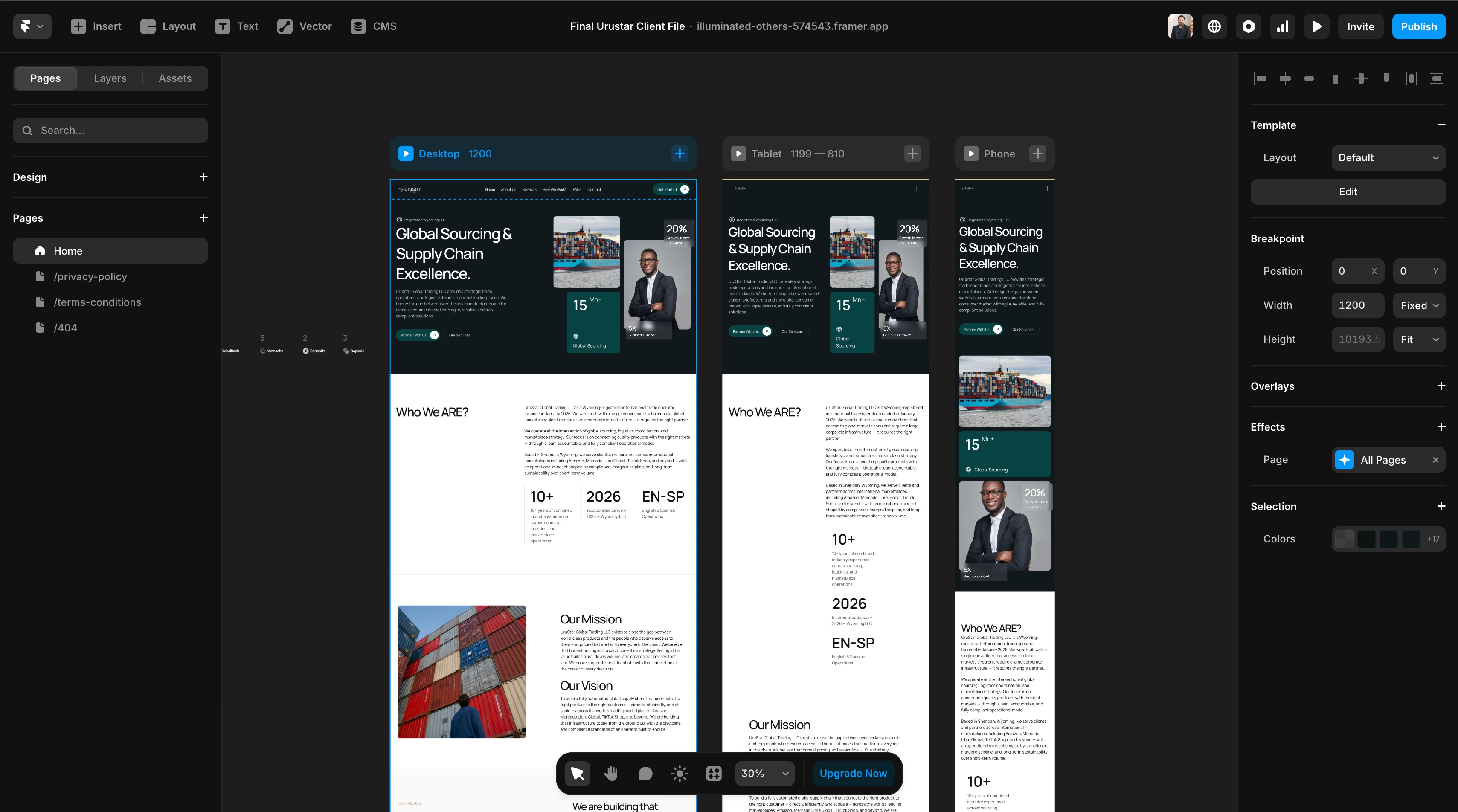 Another view of the UruStar Global Framer website